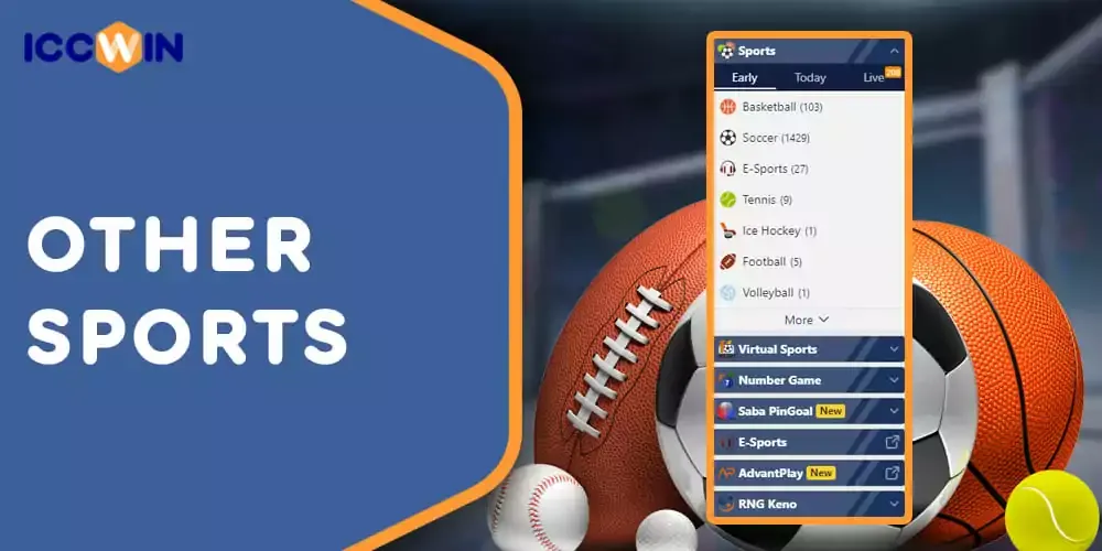 Other Sports